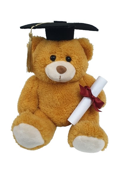 Teddy Brown With Graduation Hat