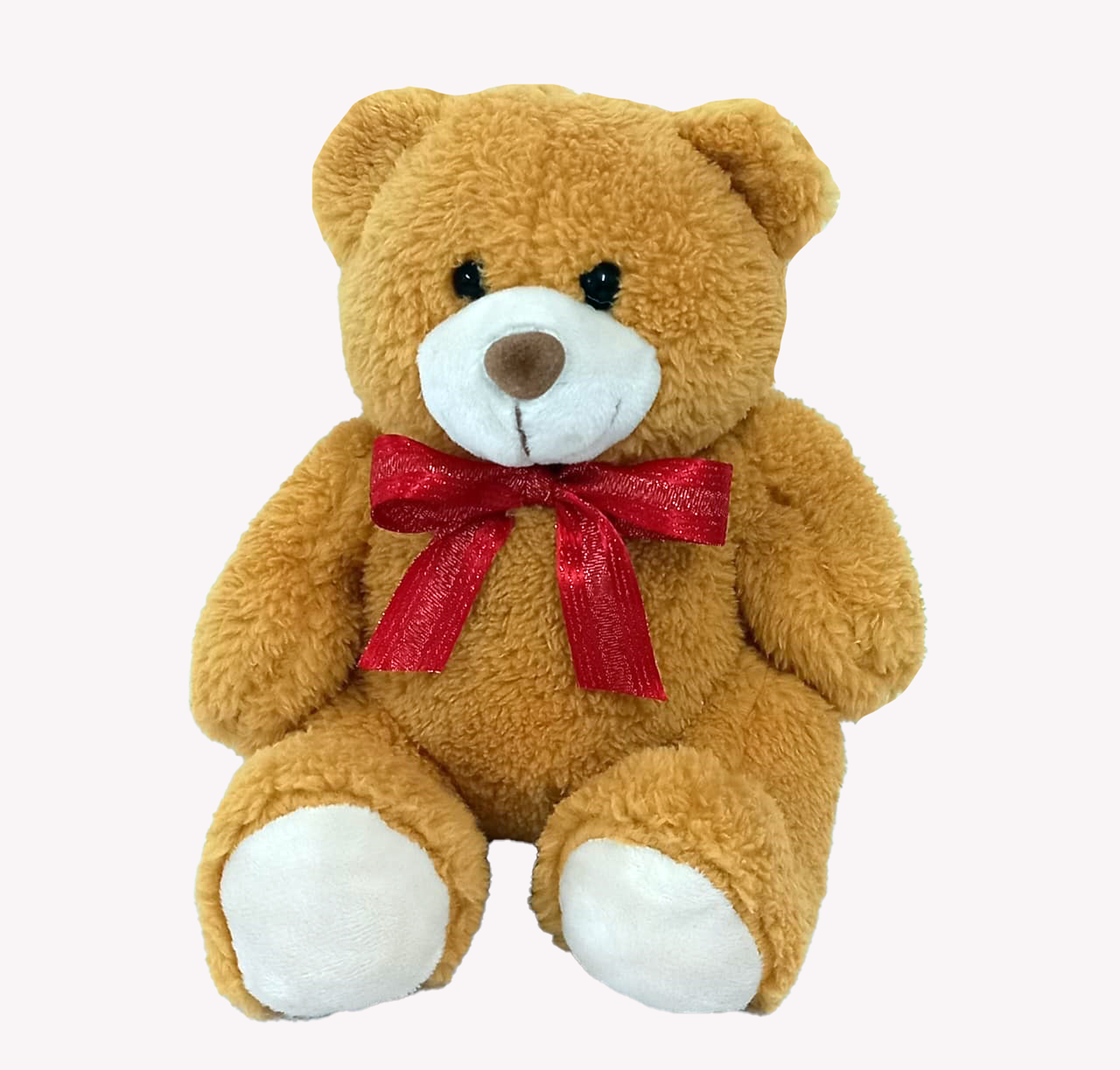 Teddy With Red Ribbon