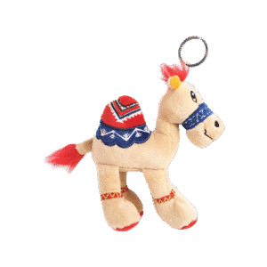 Camel - Keyring