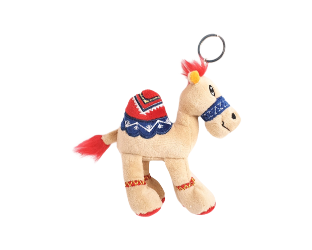 Camel - Keyring