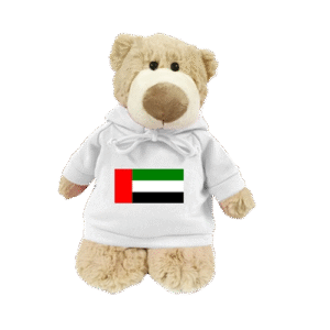 Mascot Bear with UAE Flag