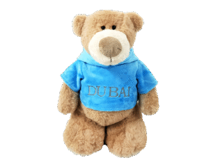 Mascot Bear with Printed Velour Hoodie