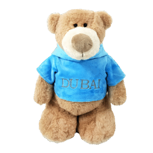 Mascot Bear with Printed Velour Hoodie