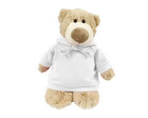 Mascot Bear with Plain Hoodie